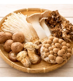 A gyógygombák világa: tudomány és természet találkozása. Immunerő, fókusz, egyensúly – így támogatnak a gyógygombák!