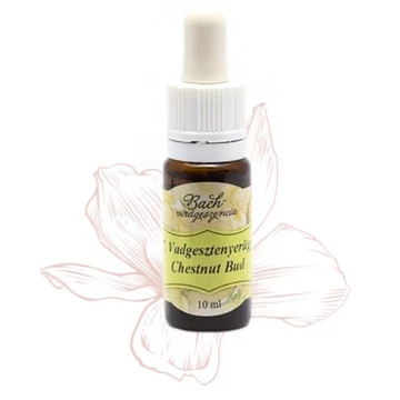 Bach virágterápia, 10 ml - Vadgesztenyerügy, a tanulás virága - 7-es