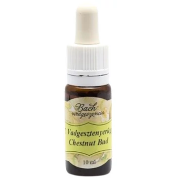 Bach virágterápia, 10 ml - Vadgesztenyerügy, a tanulás virága - 7-es