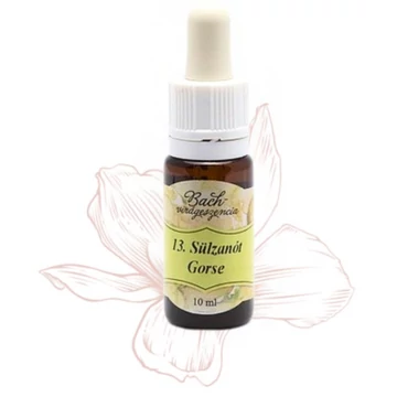 Bach virágterápia, 10 ml - Sülzanót, a remény virága - 13-as