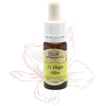 Bach virágterápia, 10 ml - Olajfa, a megújhodás virága - 23-as