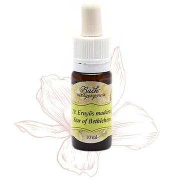 Bach virágterápia, 10 ml - Ernyős madártej, a vigasz virága - 29-es
