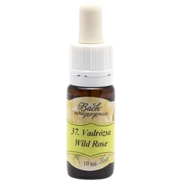 Bach virágterápia, 10 ml - Vadrózsa, az életkedv virága - 37-es