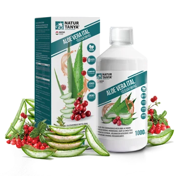 Natur Tanya Aloe Vera Ital tőzegáfonyával és erdei gyümölccsel, 1000 ml