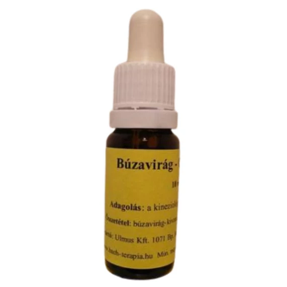Maui virágesszencia, 10 ml - Búzavirág (3. Cornflower)