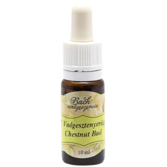 Bach virágterápia, 10 ml - Vadgesztenyerügy, a tanulás virága - 7-es