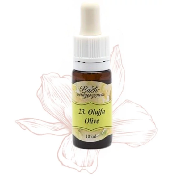 Bach virágterápia, 10 ml - Olajfa, a megújhodás virága - 23-as