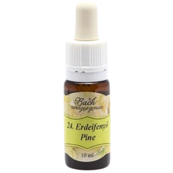 Bach virágterápia, 10 ml - Erdei fenyő, önmagunk elfogadásának virága - 24-es