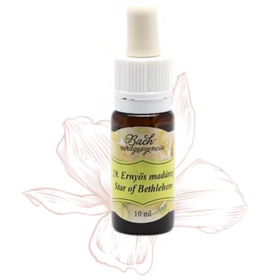 Bach virágterápia, 10 ml - Ernyős madártej, a vigasz virága - 29-es