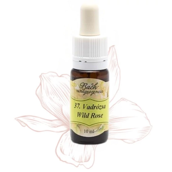 Bach virágterápia, 10 ml - Vadrózsa, az életkedv virága - 37-es