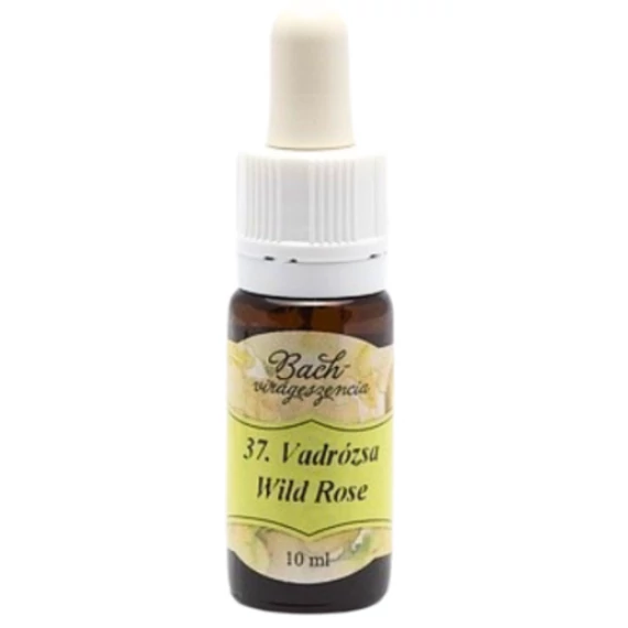 Bach virágterápia, 10 ml - Vadrózsa, az életkedv virága - 37-es