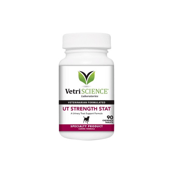 ut-strength-stat-hugyutak-egeszsege-90-db-vetri-science-805.png