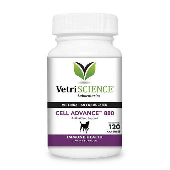 cell-advance-880-vitaminok-es-antioxidansok-120-db-vetri-science-299.jpg