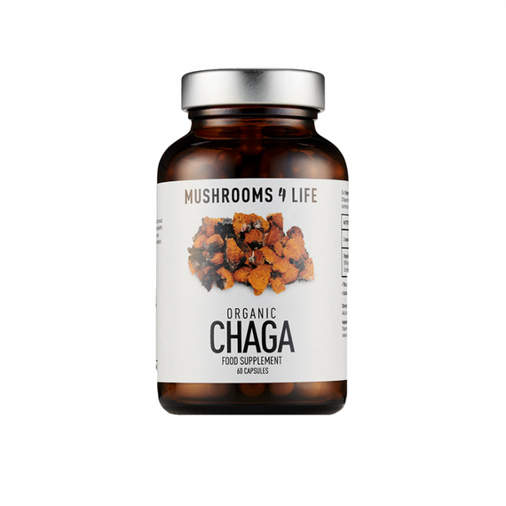 chaga-gomba-60-db-mushrooms4life-451.png
