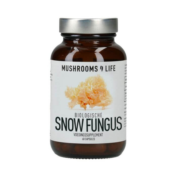 Snow Fungus, hógomba, bio, 60 db Mushrooms4life